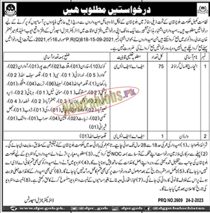 Directorate of Sports Balochistan Jobs 2023