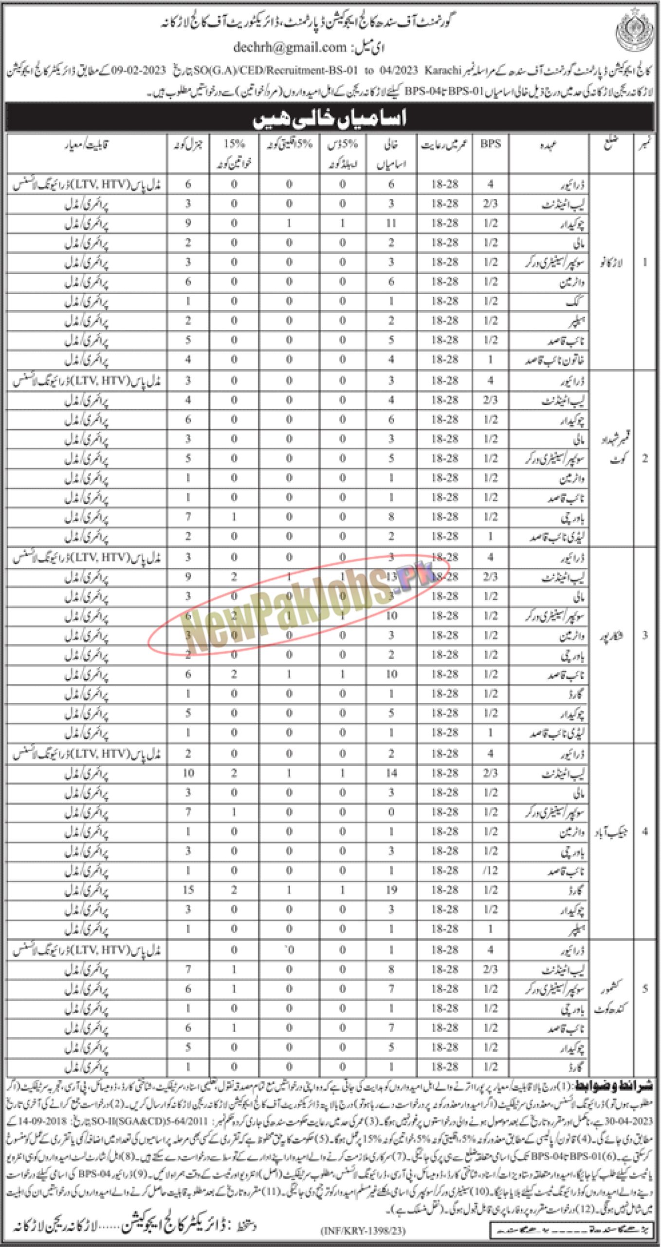 College Education Department Sindh Jobs 2023 For Larkana Region