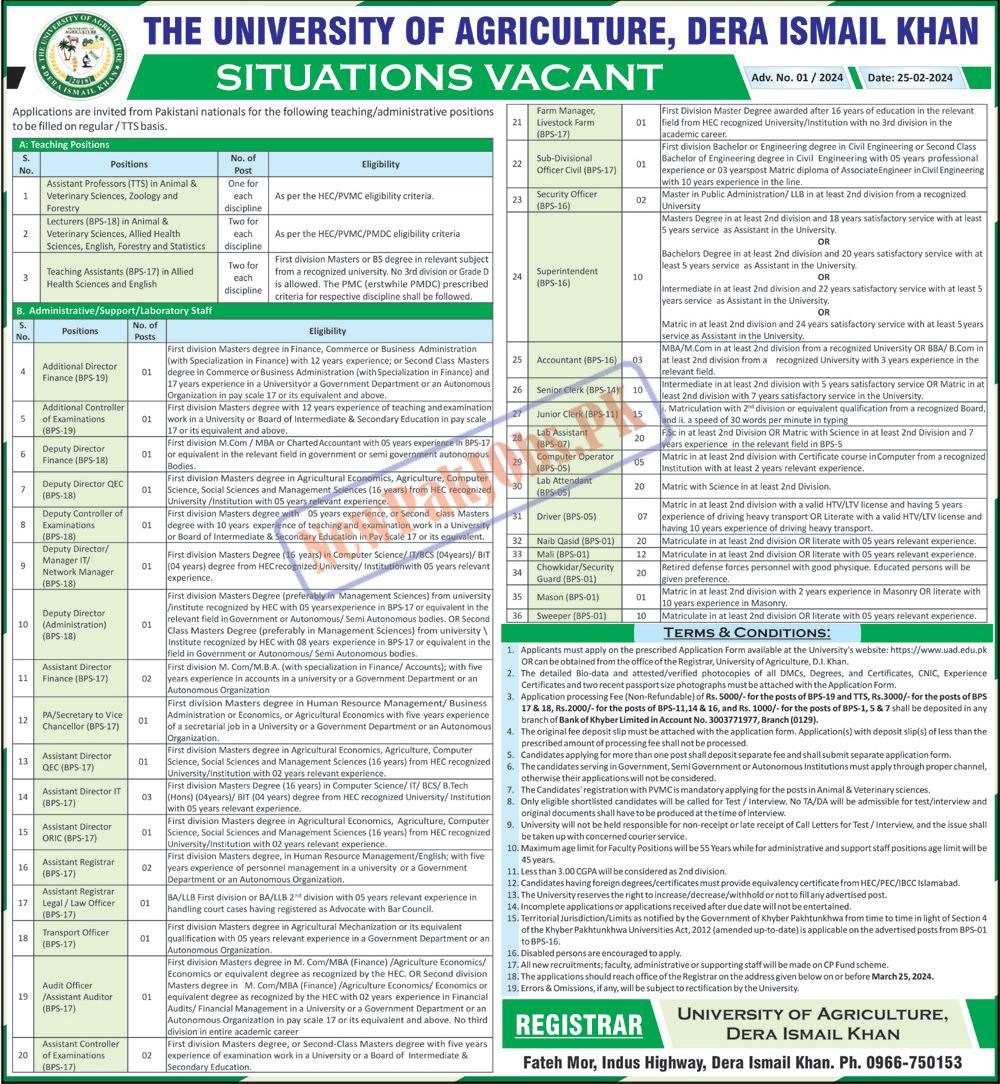 University of Agriculture Dera Ismail Khan Jobs 2024