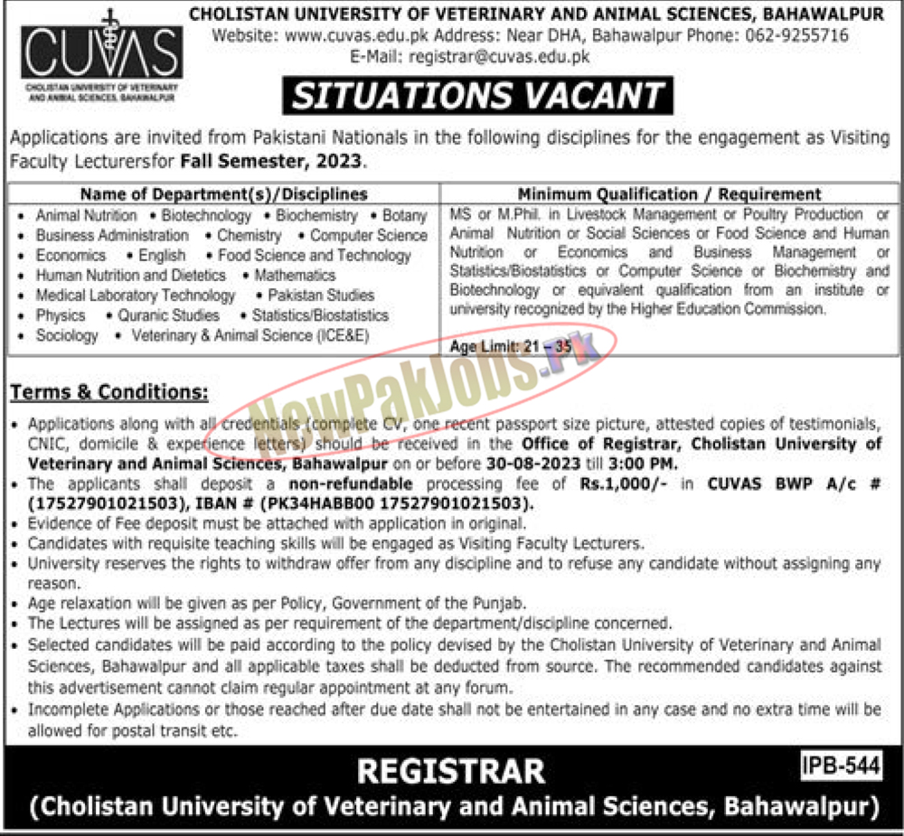 Cholistan University of Veterinary and Animal Sciences CUVAS Jobs August 2023