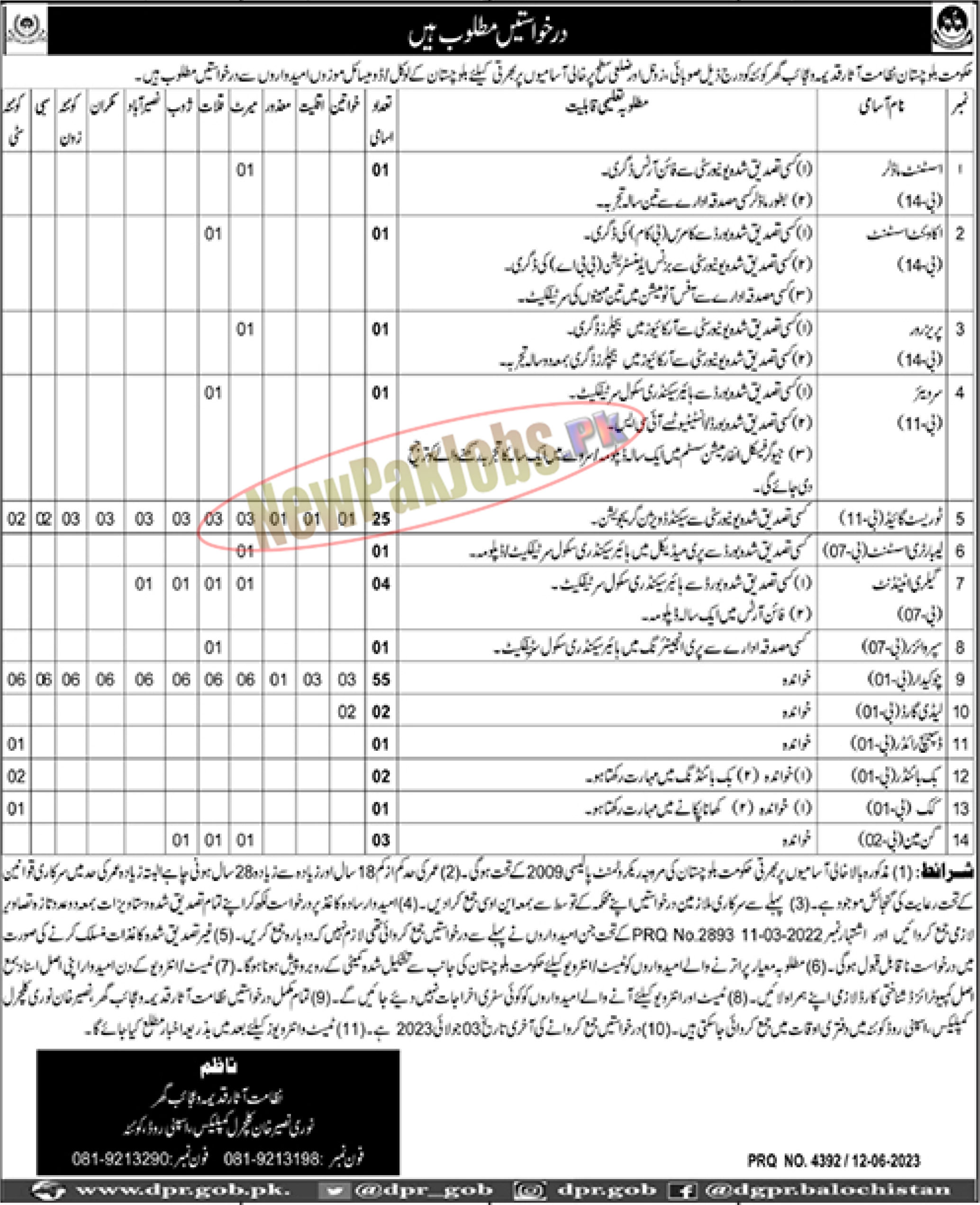 Directorate of Archaeology & Museums Balochistan Jobs 2023