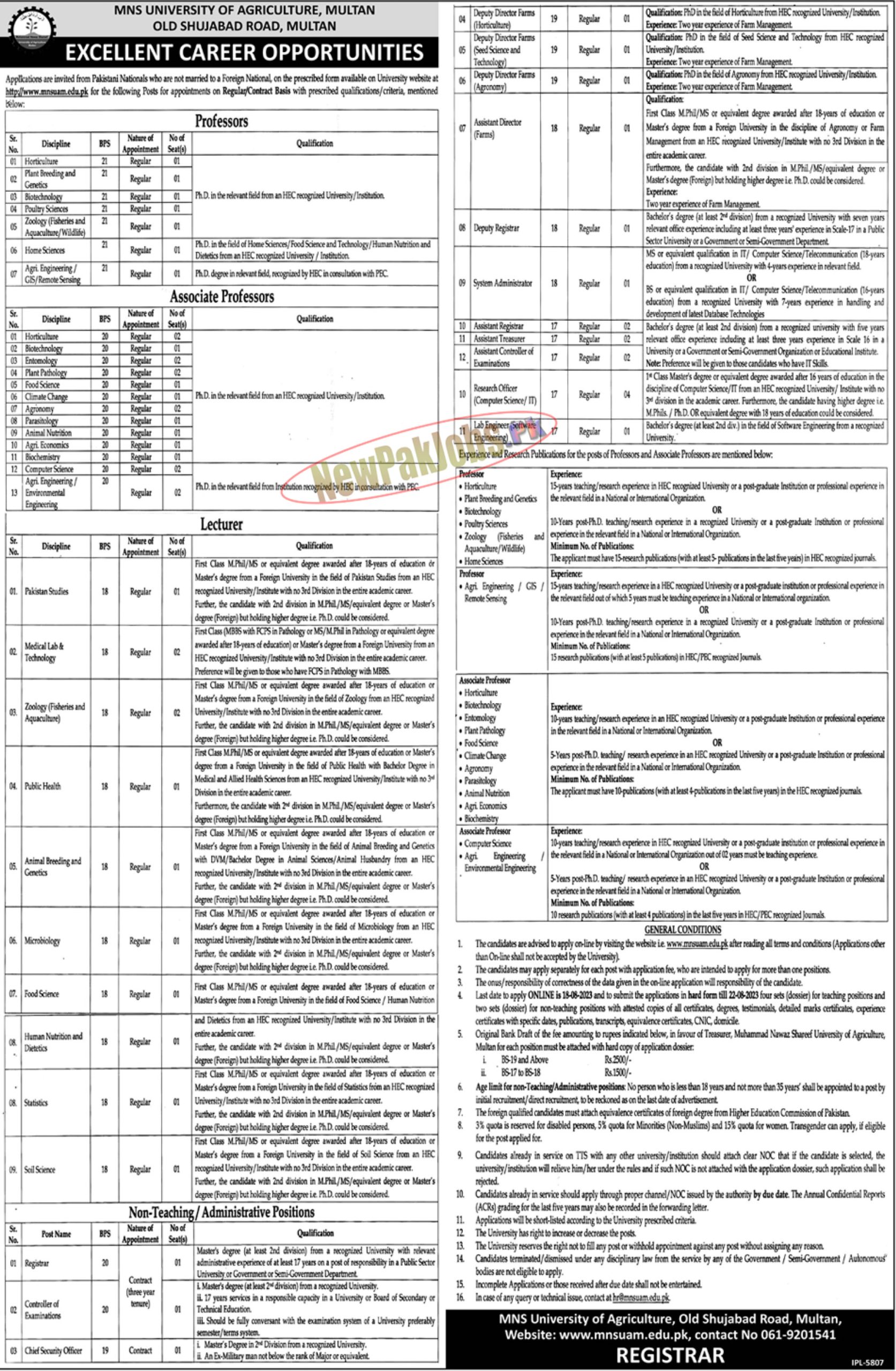 MNS UET Multan Jobs August 2023