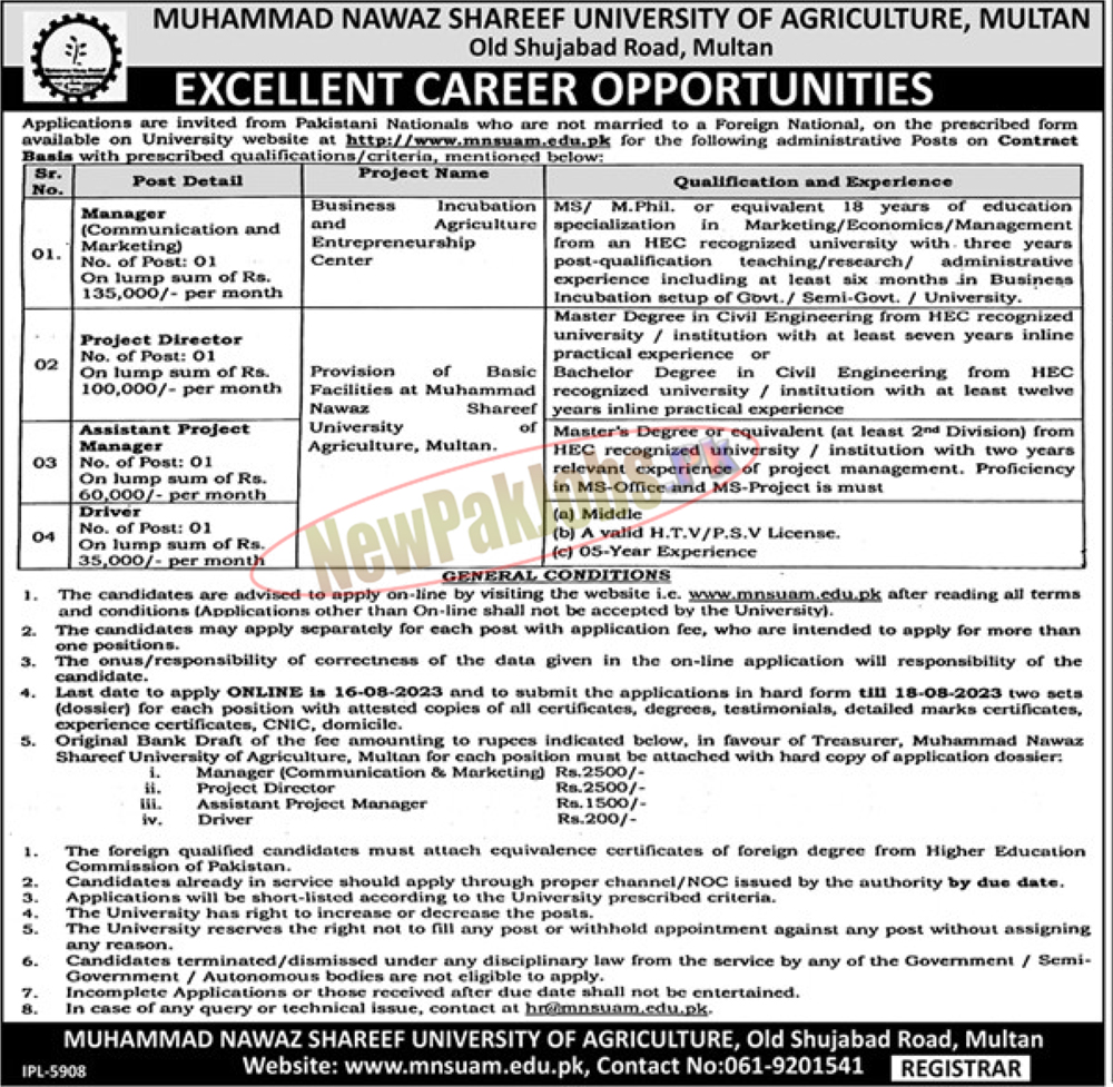 MNS University of Agriculture Jobs 2023 - MNSUAM Latest Career