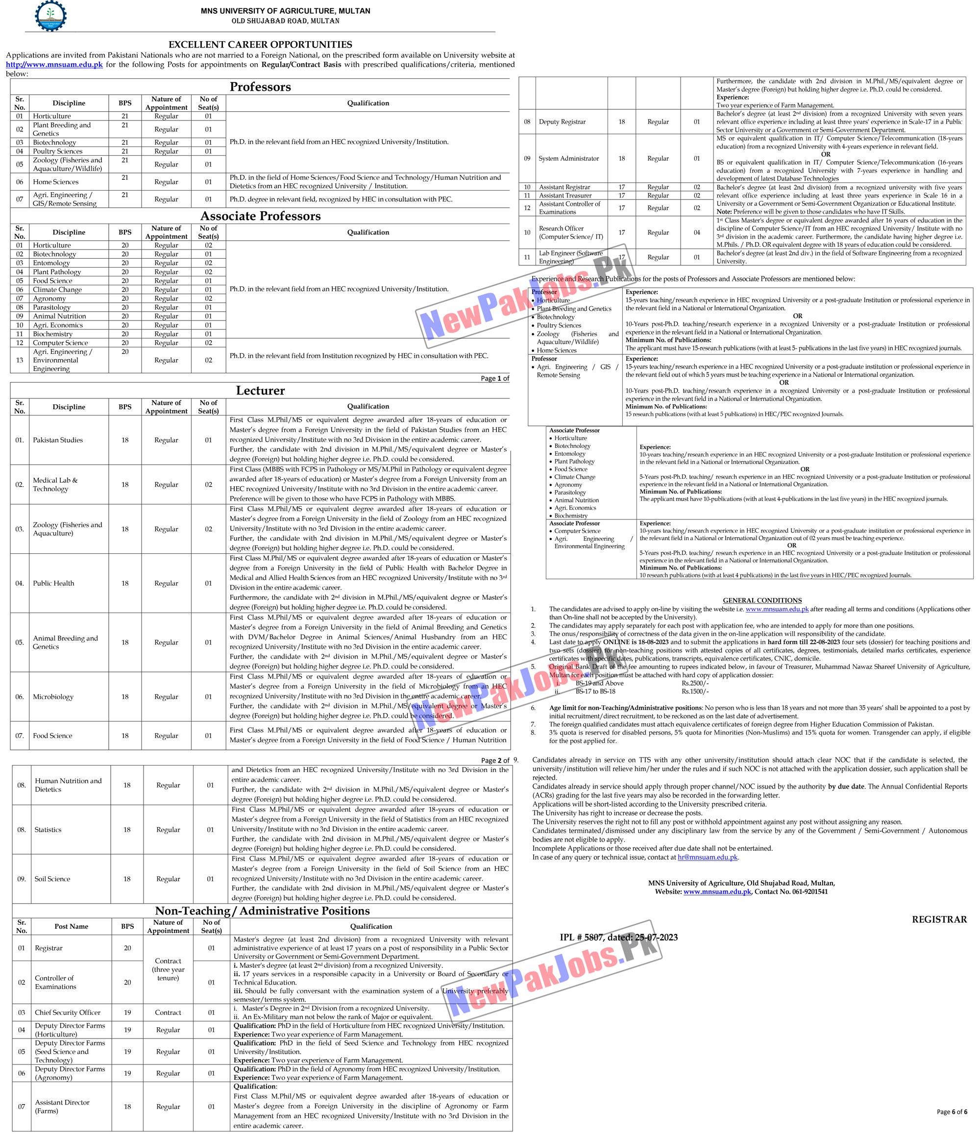 MNS University of Agriculture Jobs August 2023