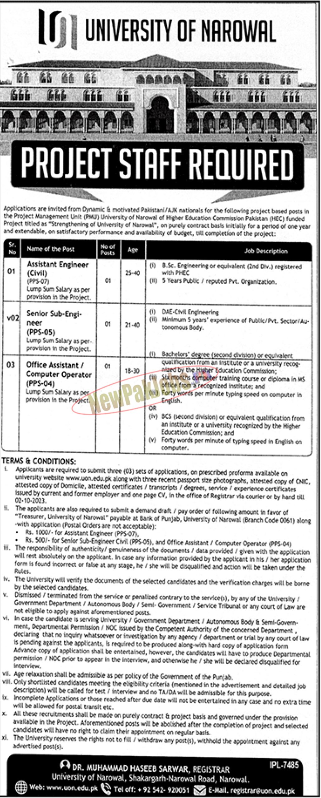 University of Narowal Jobs September 2023