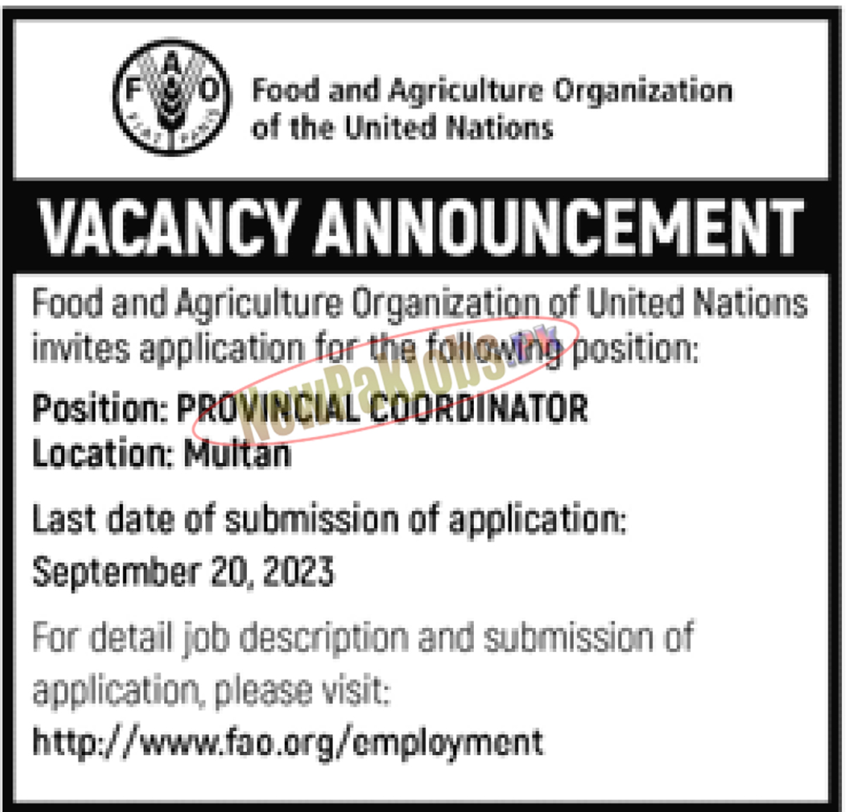 Food and Agriculture Organization FAO Jobs September 2023