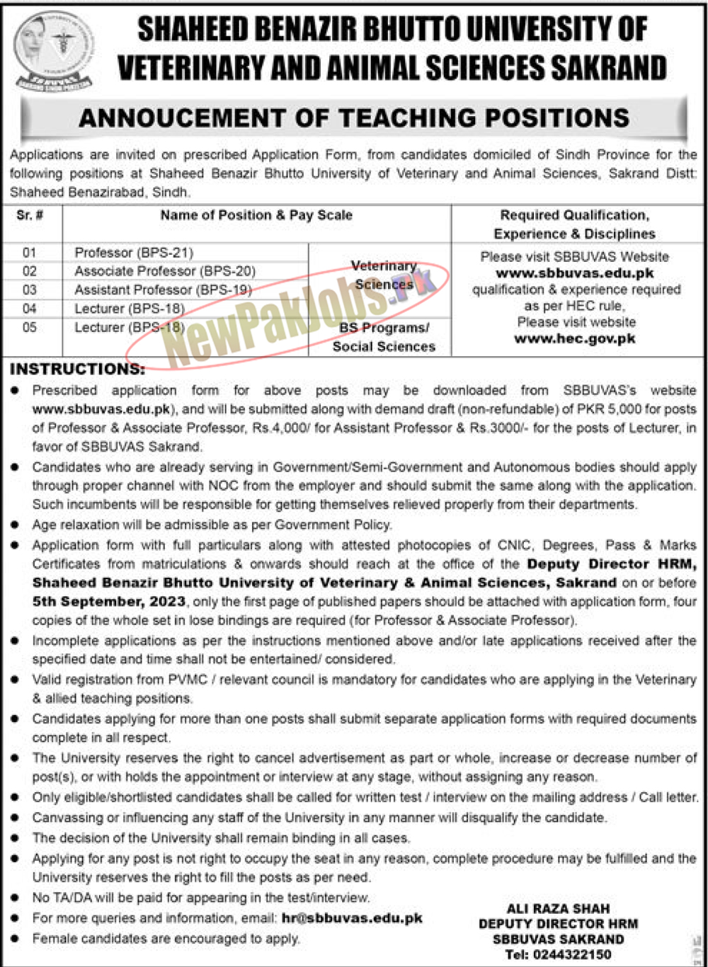 SBB University of Veterinary & Animal Sciences SBBUVAS Jobs August 2023