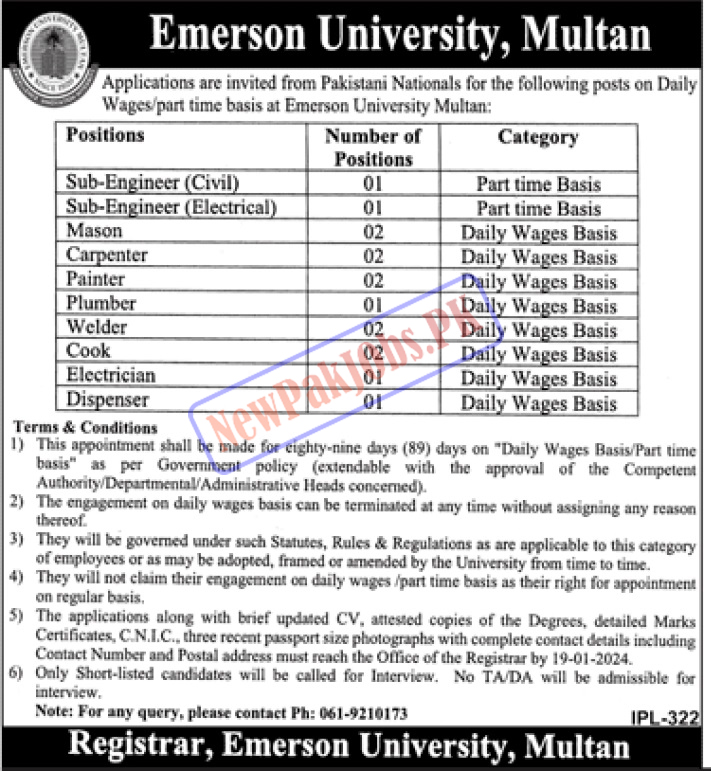 Emerson University Multan Jobs 2024