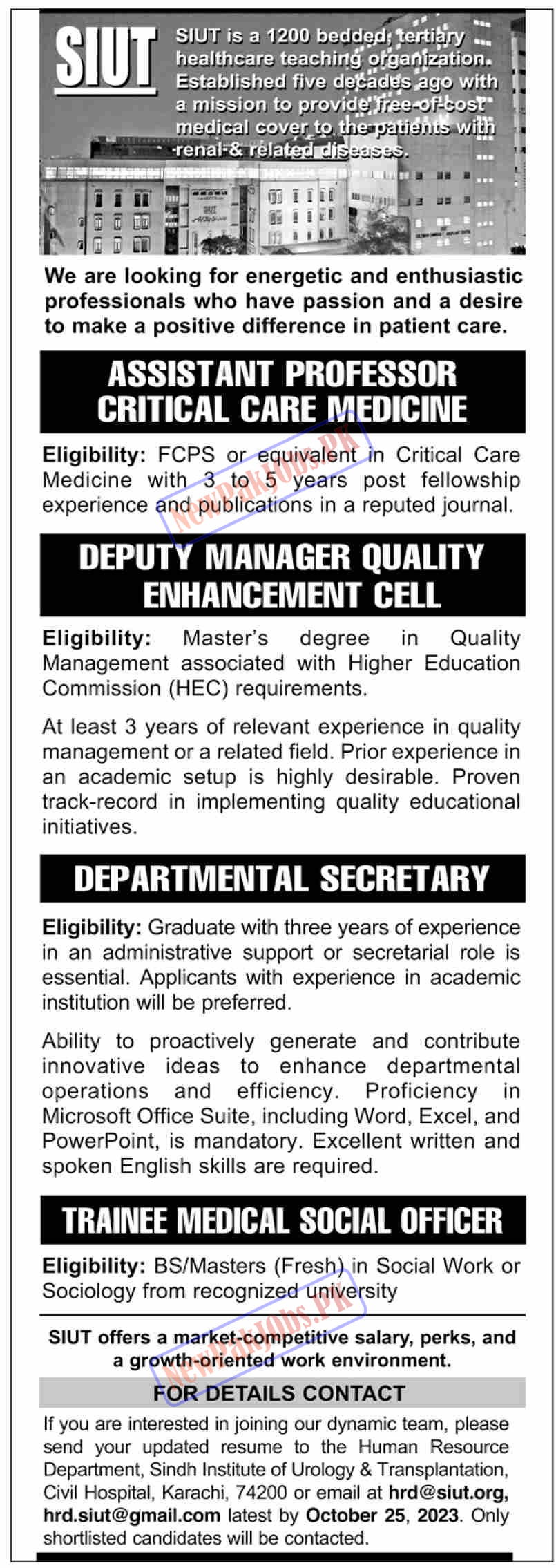 Latest SIUT Jobs October 2023