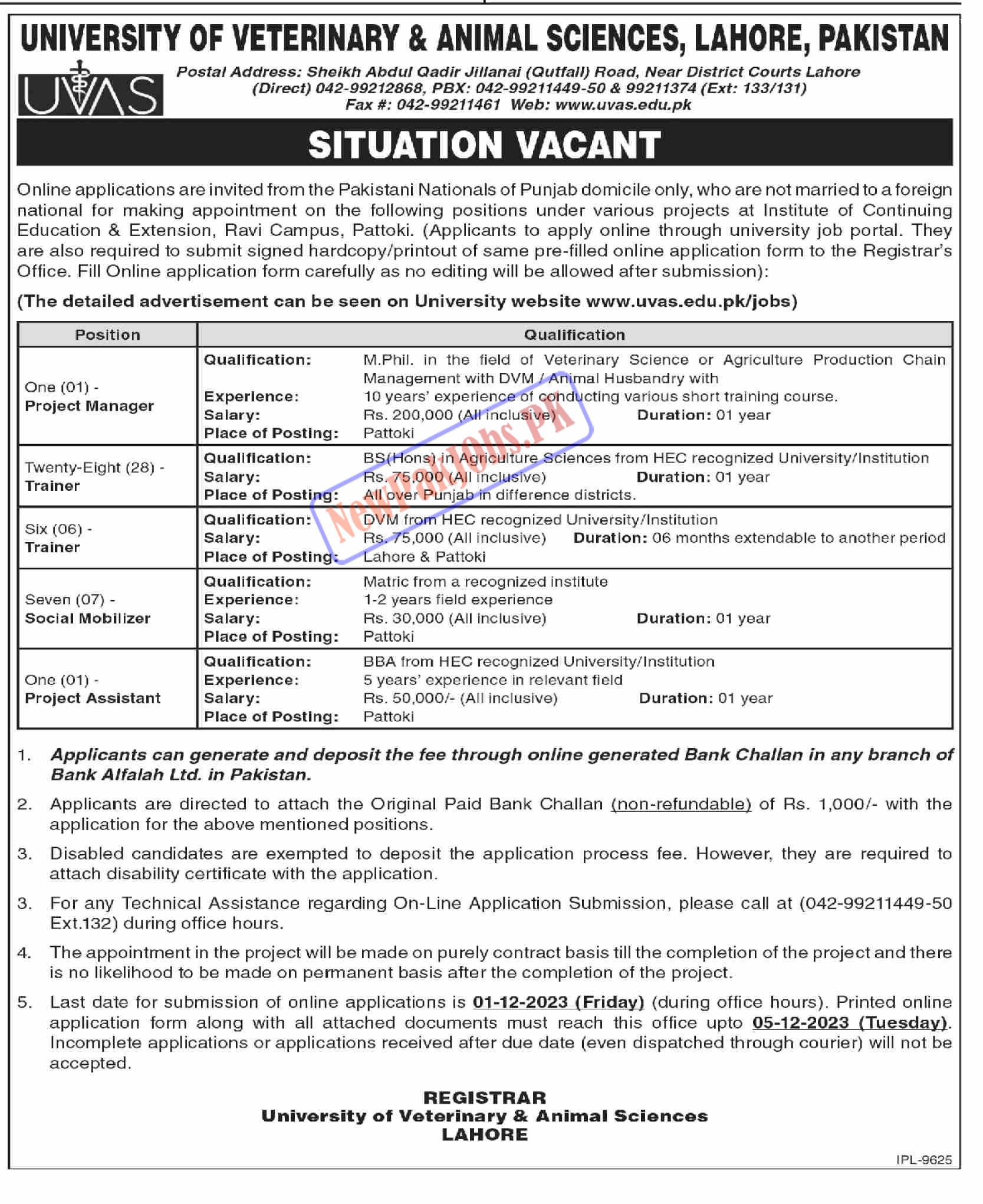 Latest UVAS Lahore Jobs November 2023